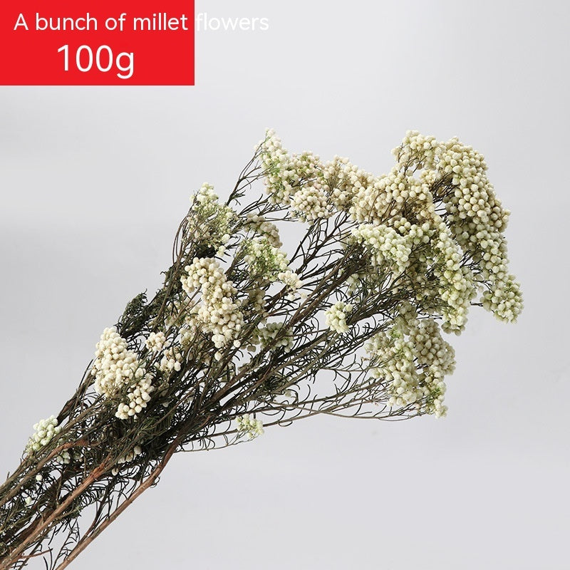 *US ONLY* Dried Flower DIY Bouquet