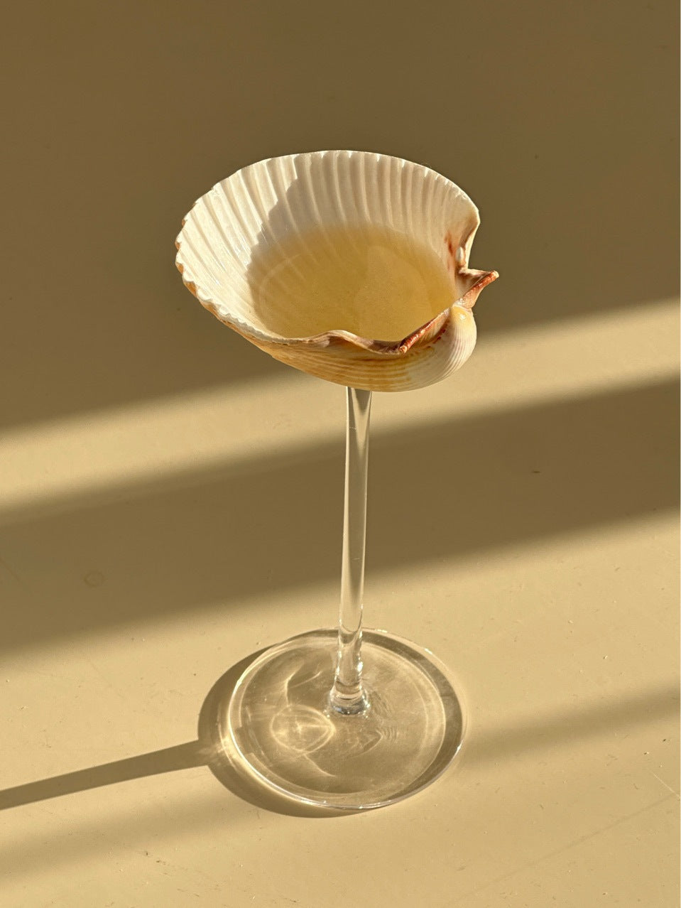Sculptural Shell Glass Cup