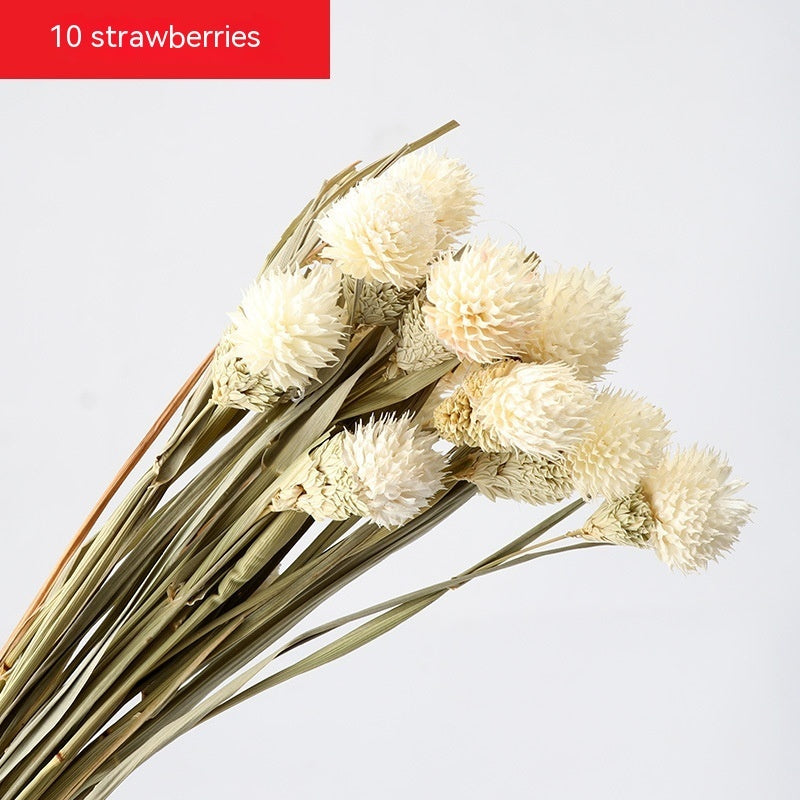 *US ONLY* Dried Flower DIY Bouquet