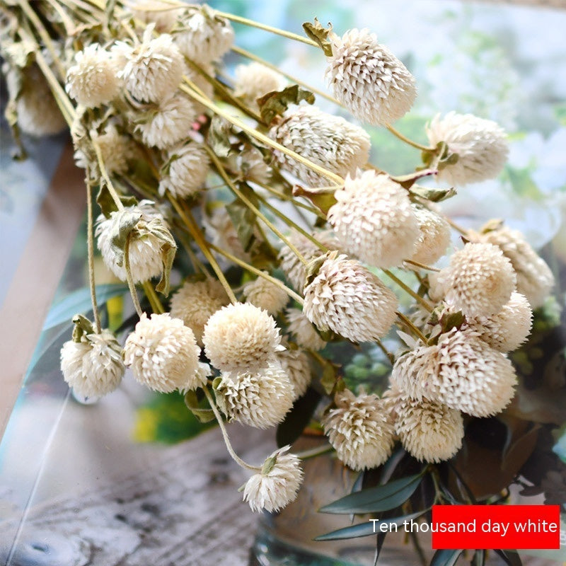 *US ONLY* Dried Flower DIY Bouquet